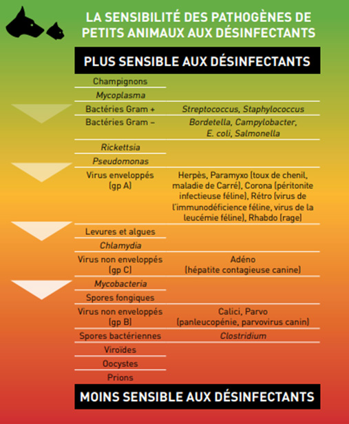 Entreprise de nettoyage, Meaux, CLEAN UP PLANET